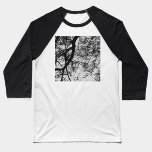Bare Tree Branches First Flowers Baseball T-Shirt